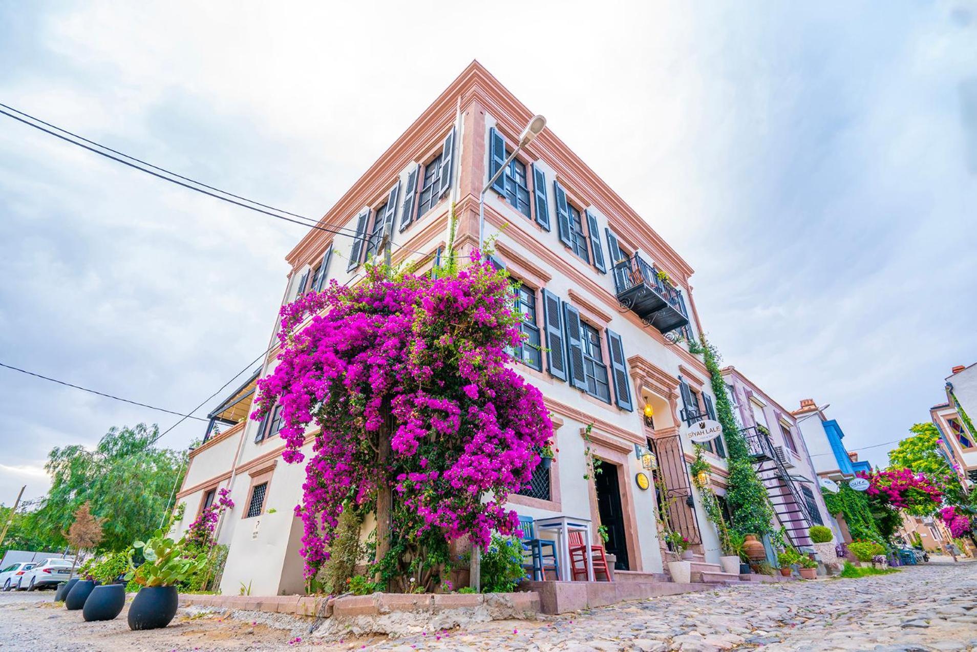 Hotel Siyah Lale Cunda 1841 (Adults Only) Ayvalı Exterior foto