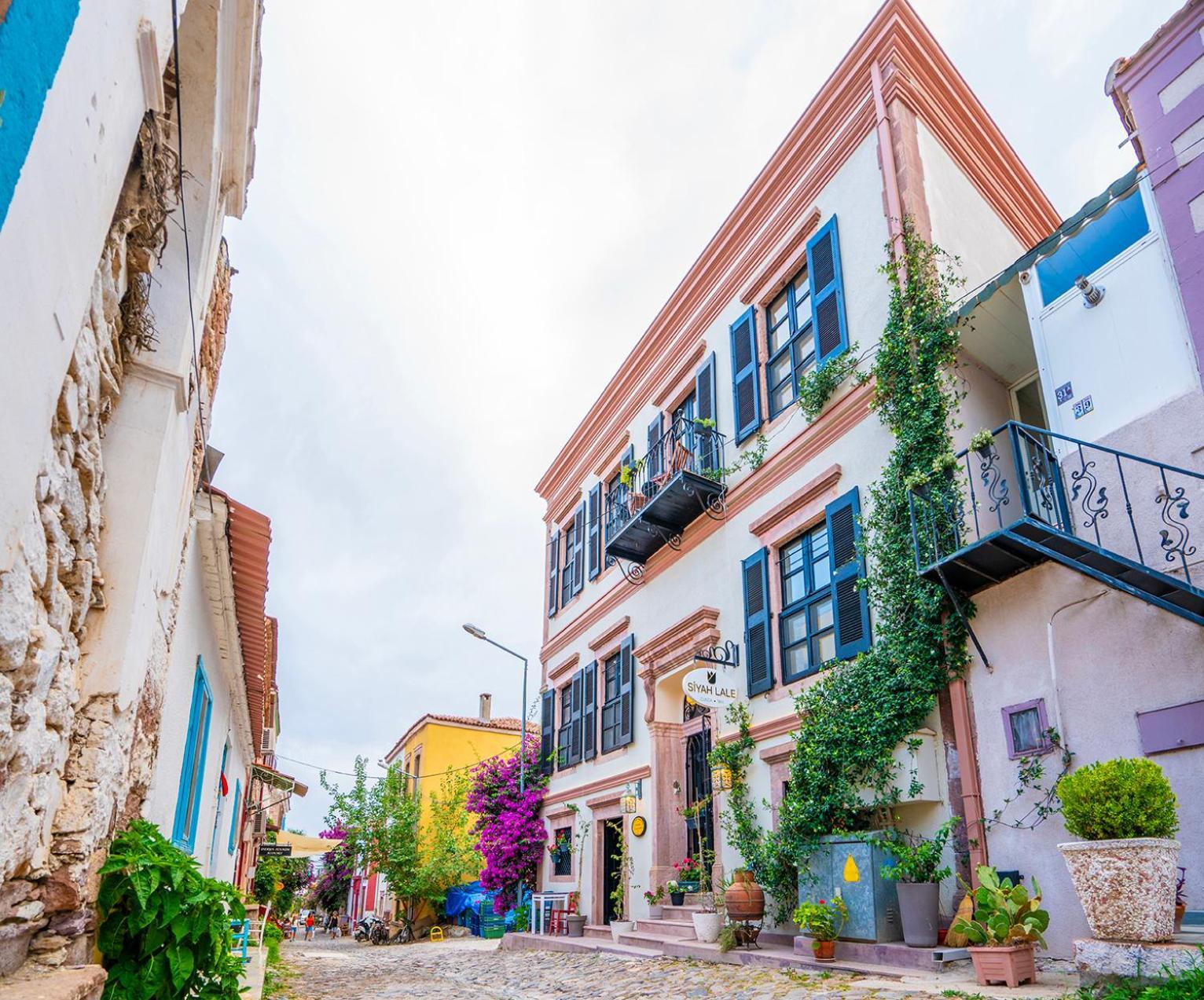 Hotel Siyah Lale Cunda 1841 (Adults Only) Ayvalı Exterior foto